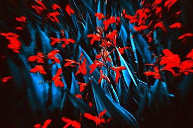 R星数据显示《GTA》三部曲复刻版将使用虚幻引擎