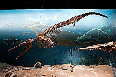 黑神话悟空软件著作权登记获批 2024年夏发售